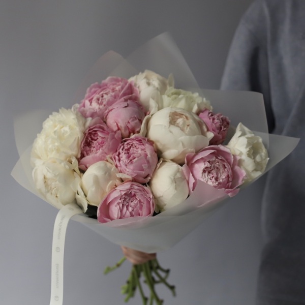 Mixed color Peony - 15 пионов