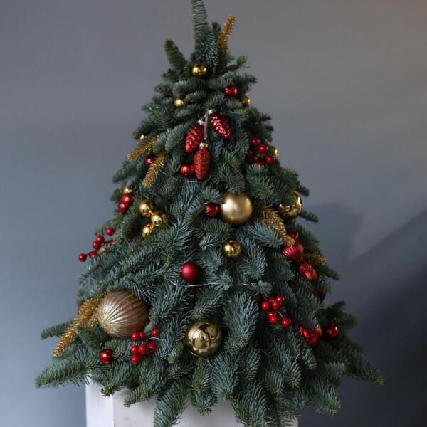 Christmas Tree 'Golden red' - 55 см