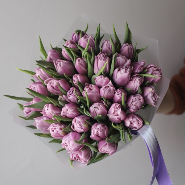 Lilac Tulips Katinka - 49 тюльпанов