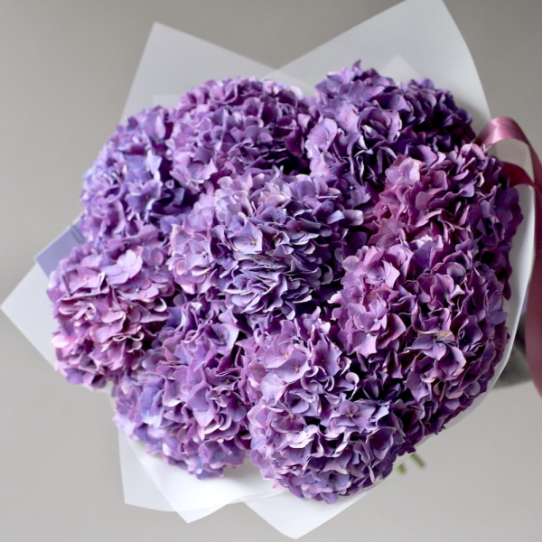 Purple Hydrangea - 9 гортензий