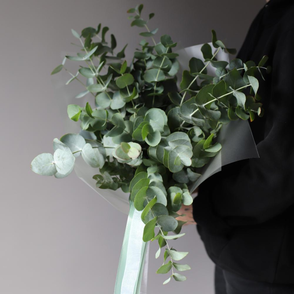 Bouquet of eucalyptus  - Размер S