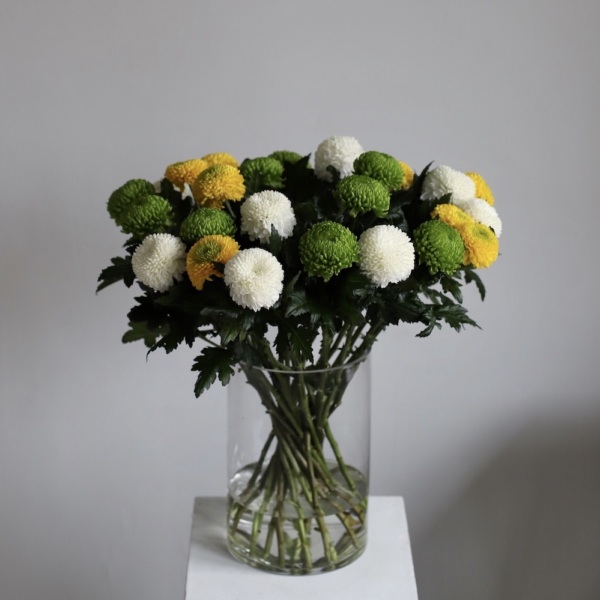 Chrysanthemum in a Vase -  29 хризантем 