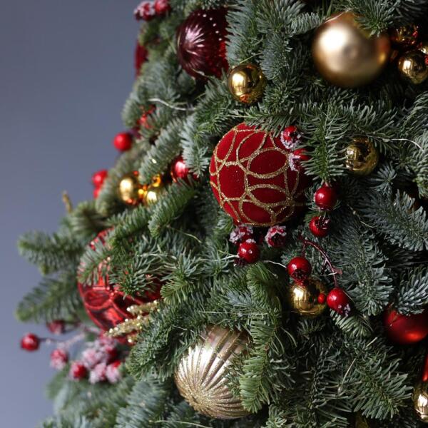 Christmas Tree 'Golden red' - 75 см