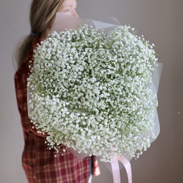 White Baby's Breath -  25 гипсофил 