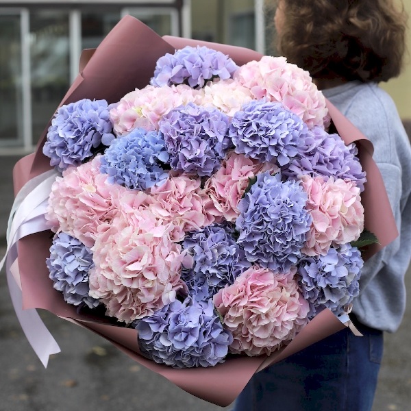 Mixed color Hydrangeas - 19 гортезий