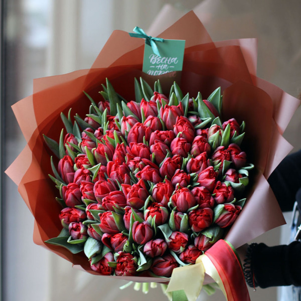 Red Tulips - 75 тюльпанов