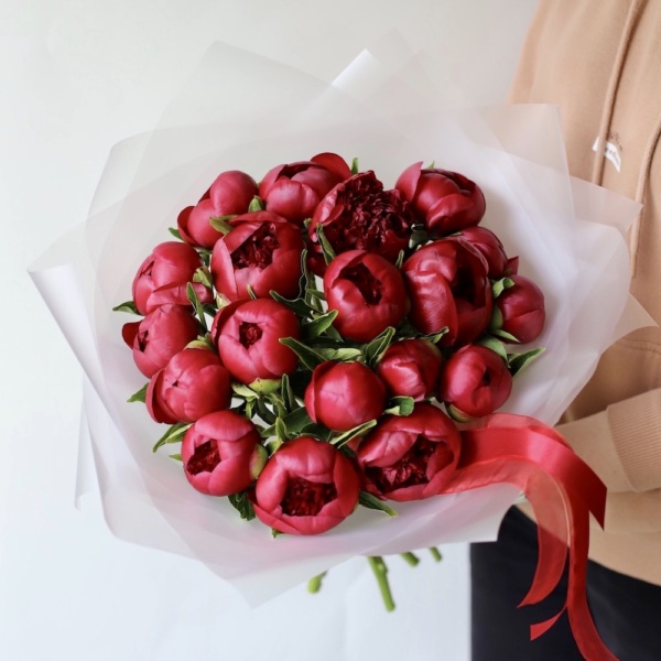 Winy Peony - 19 пионов 