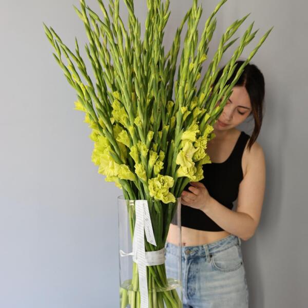 Flower subscribtion "Mono in a vase" (4 deliveries) - 49 гладиолусов