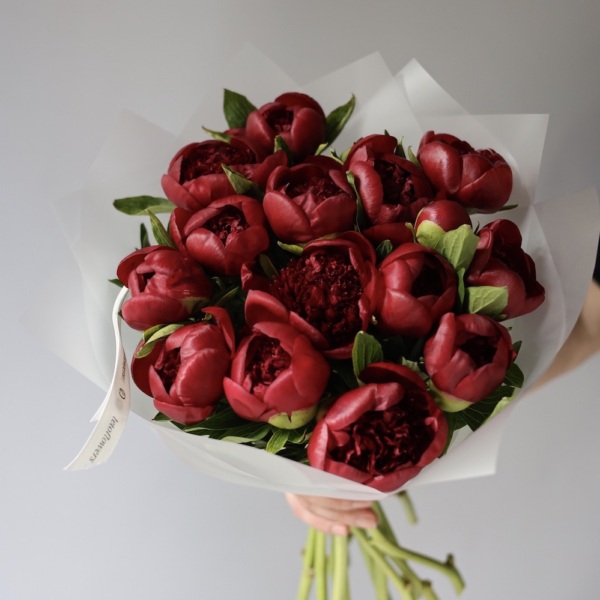 Winy Peony - 15 пионов 