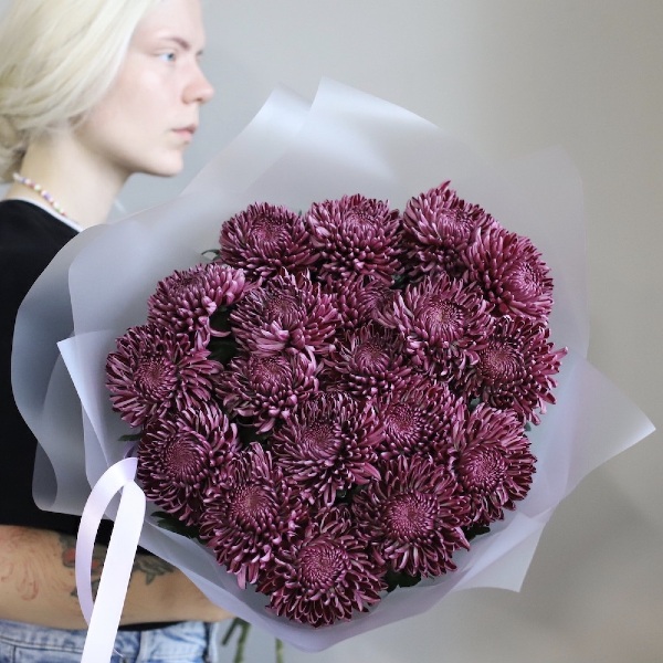 Violet Chrysanthemum - 19 хризантем