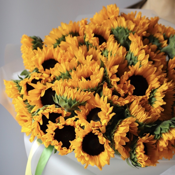 Sunflower - 19 подсолнухов 