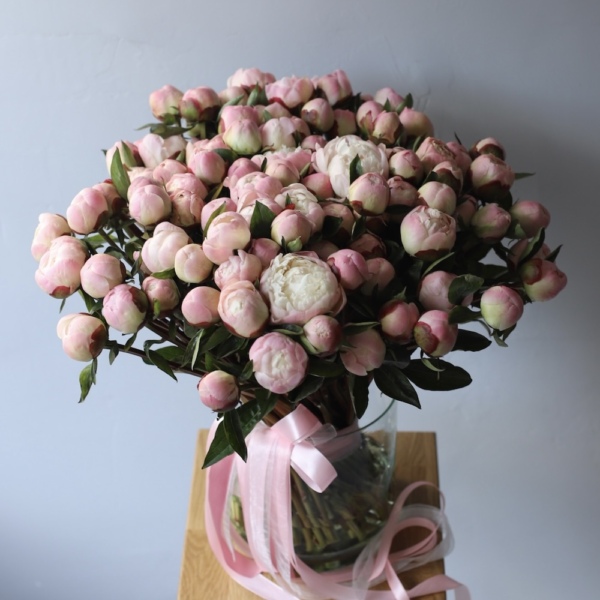 Pink Peonies in a vase - 101 пион