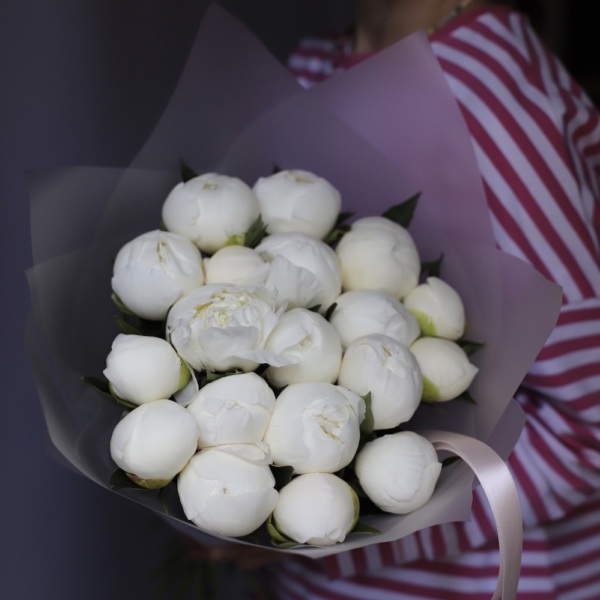 White Peony -  19 пионов 