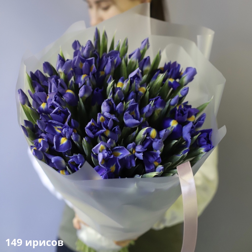 Iris Iris -  149 ирисов