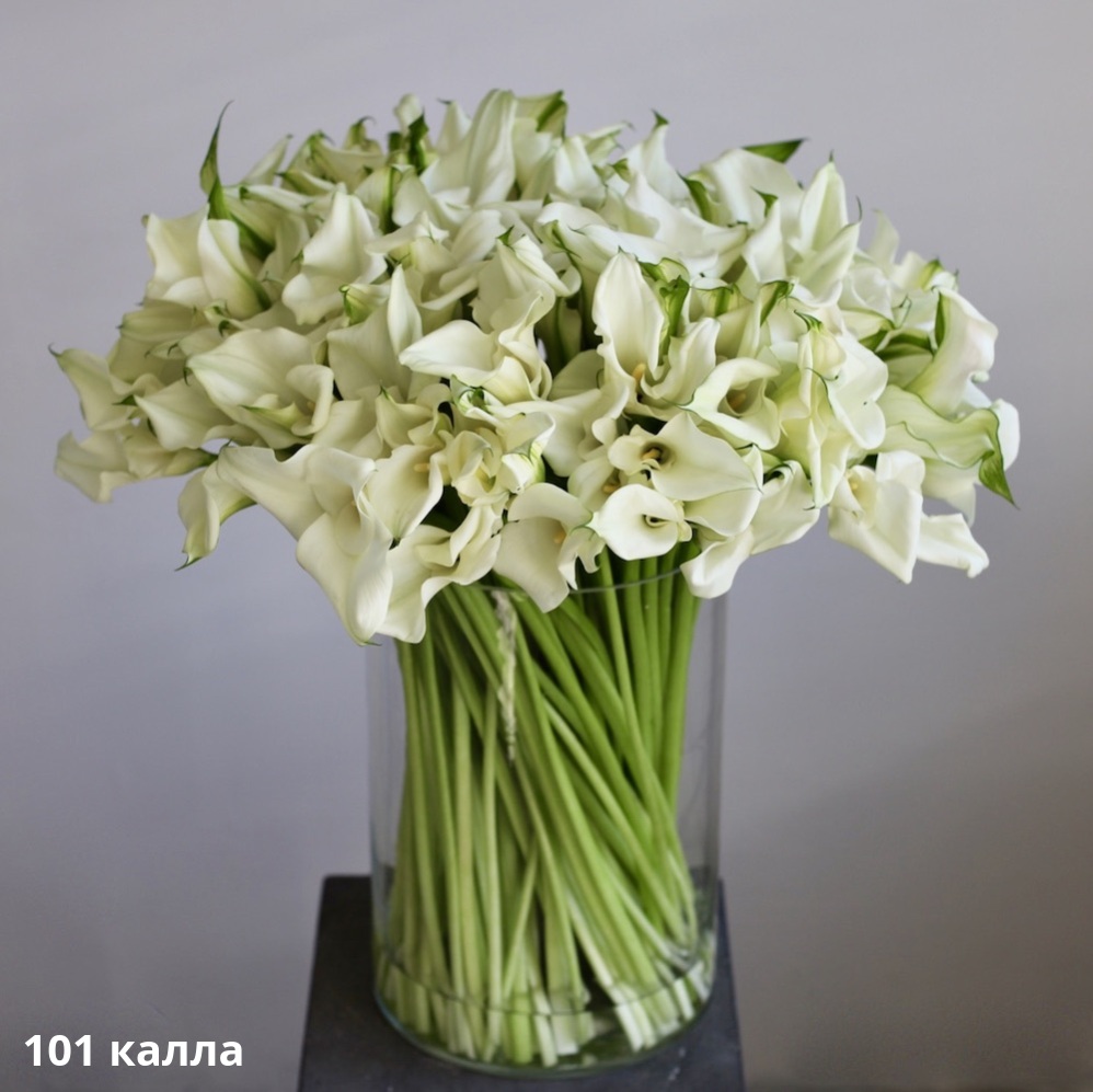 Calla Lilies in a vase Calla Lilies in a vase -  101 калла