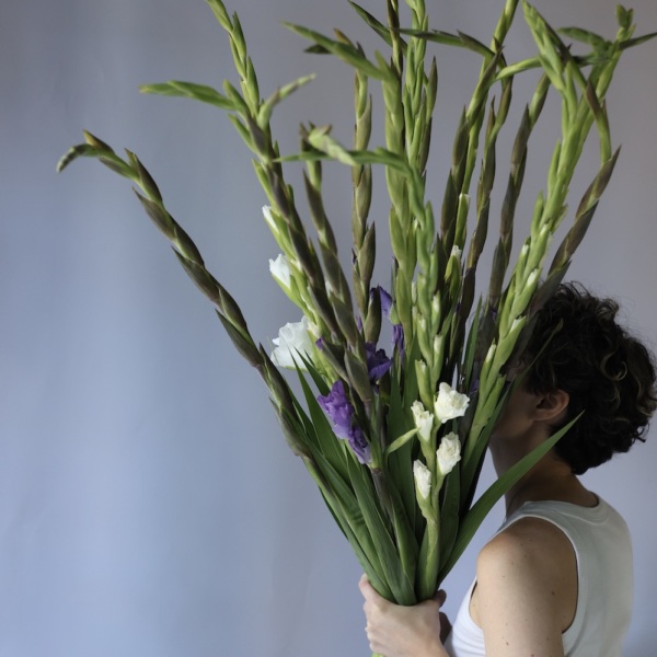 Mixed color Gladiolus - 19 гладиолусов