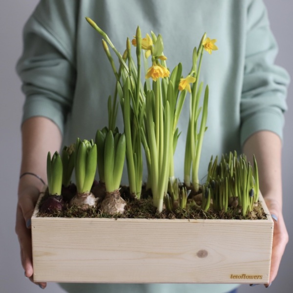 Весенние цветы в ящике - Размер L