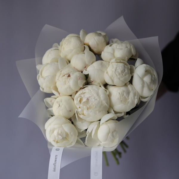 White Peony - 15 пионов