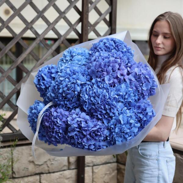 Blue Hydrangea - 15 гортензий