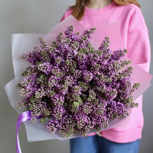 Purple Lilac - 19 веток сирени