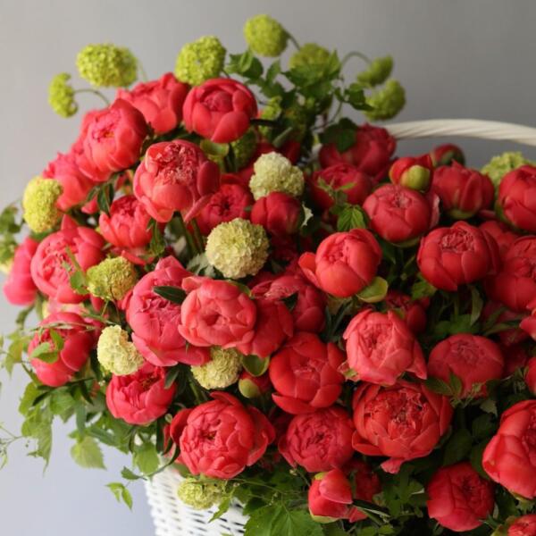 Basket with peonies and viburnum