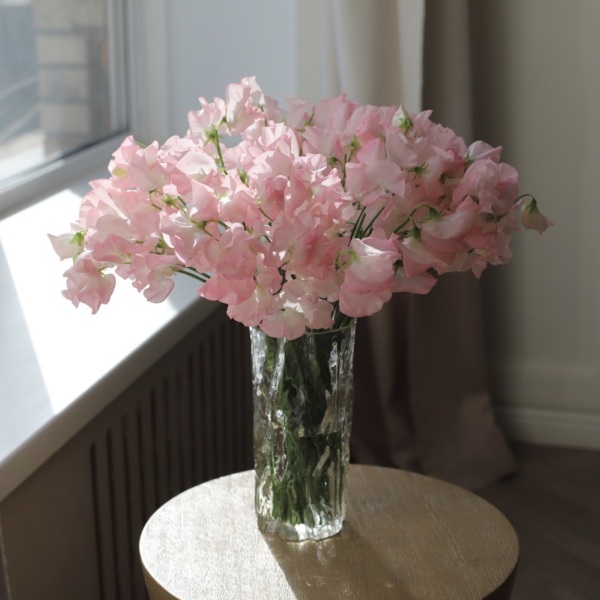 Sweet Pea in a vase - 29 горошков (ваза может отличаться)