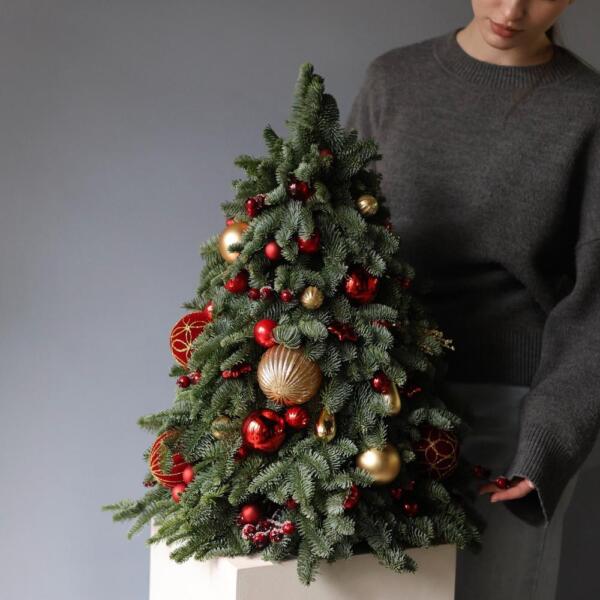 Christmas Tree 'Golden red' - 55 см