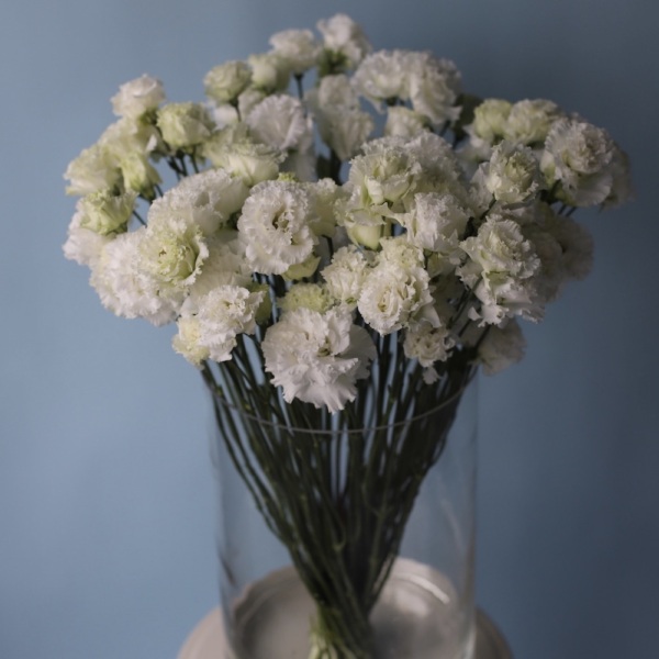 Lisianthus in a vase - 39 эустом