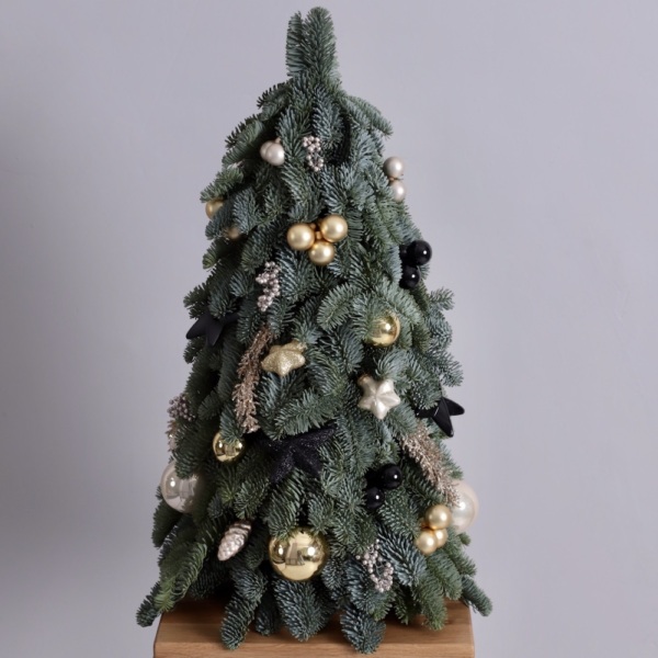 Christmas Tree 'Golden Truffle' - 45 см 