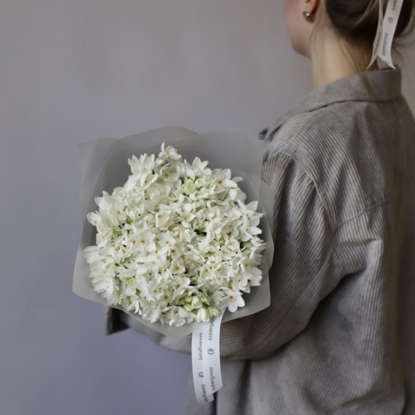 White spray Daffodils - 49 нарциссов