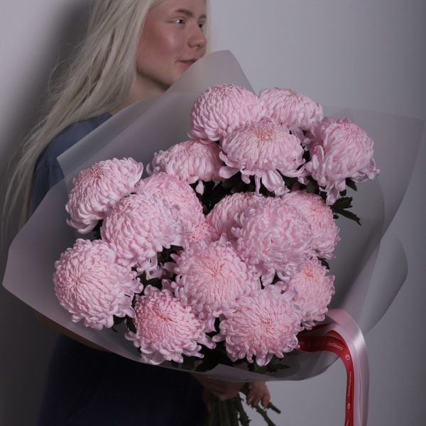 Large pink Chrysanthemum -  19 хризантем 