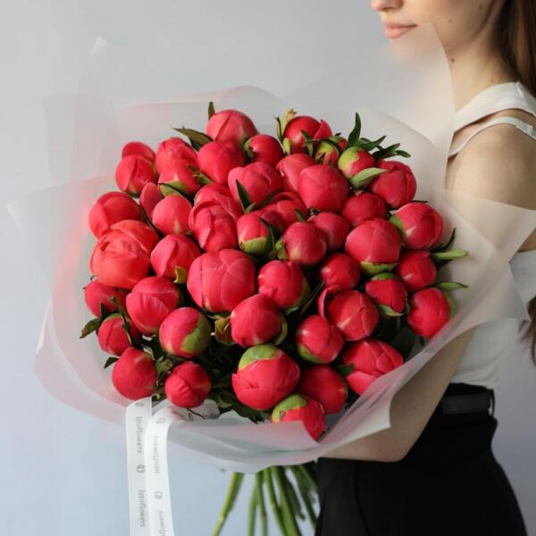 Coral Peony - 39 пионов