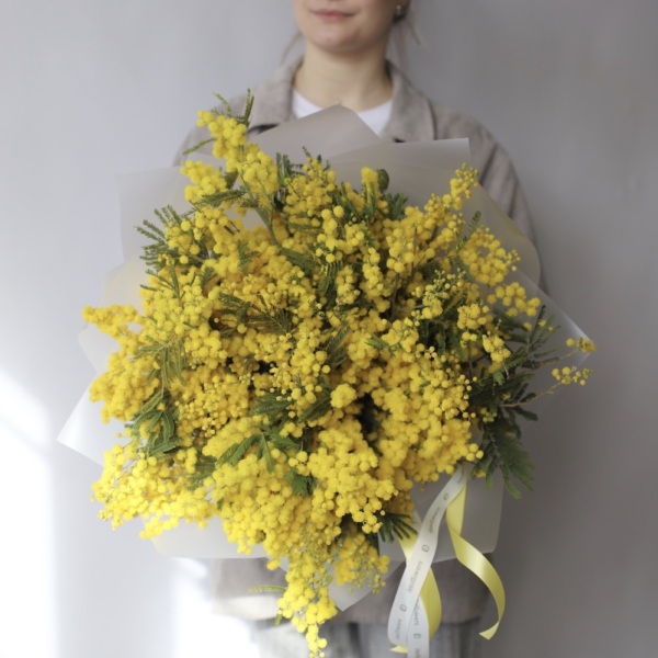 Mimosa - Размер XL