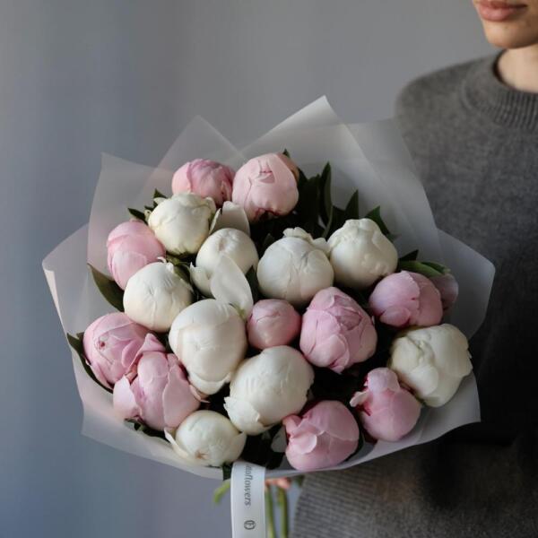 Mixed color Peony - 19 пионов