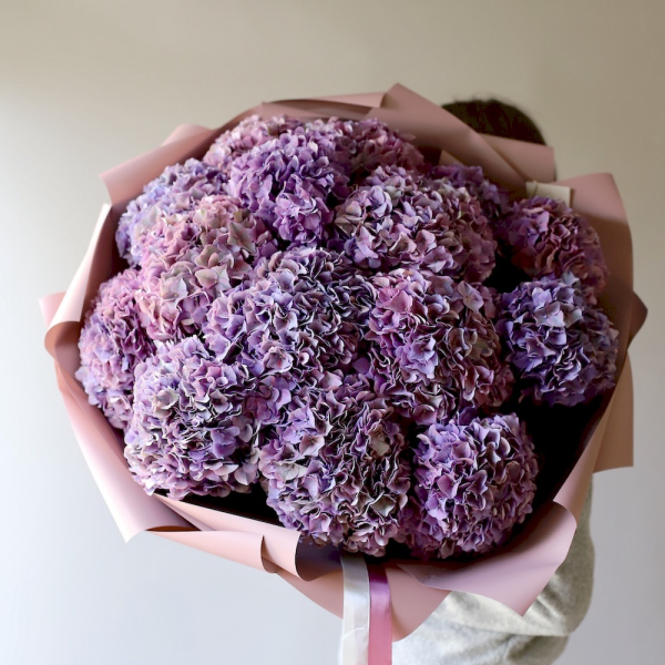 Purple Hydrangea - 15 гортензий