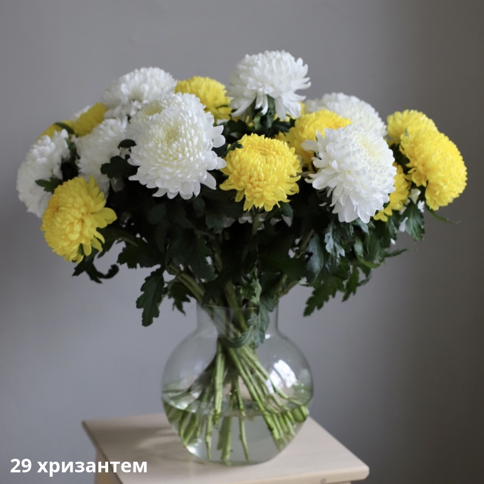Large Chrysanthemum in a vase Large Chrysanthemum in a vase -  29 хризантем