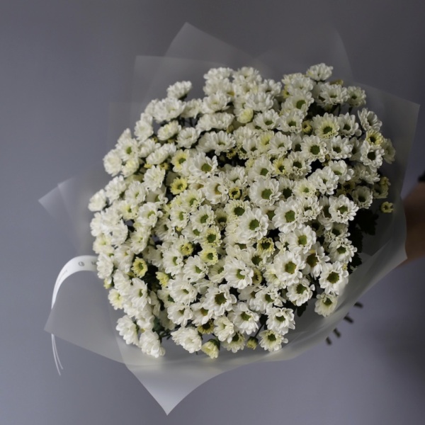 Spray Chrysanthemum - 25 хризантем
