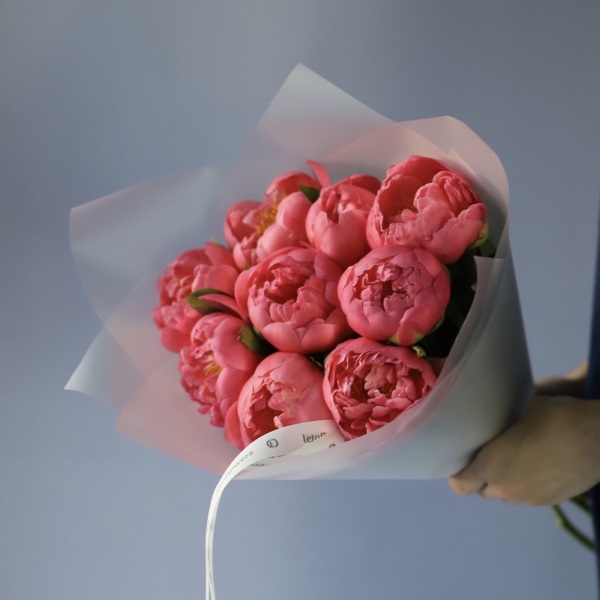 Coral Peony -  9 пионов 