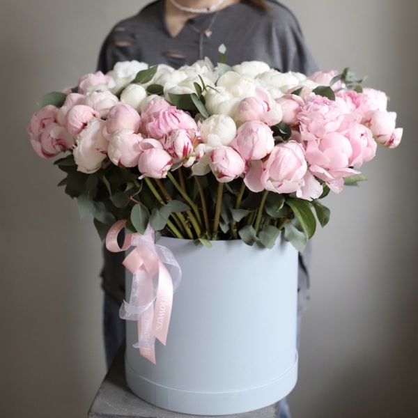 White and pink Peonies in a hat box - Размер 2XL