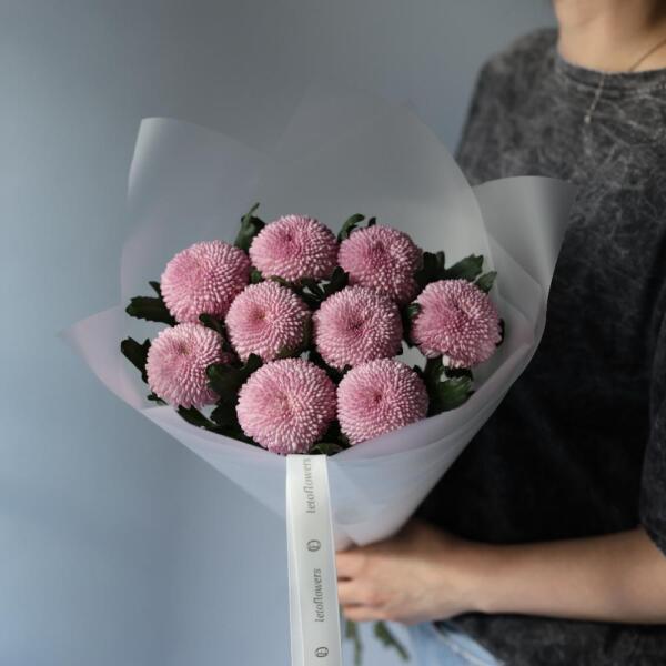Purple Chrysanthemum - 9 хризантем