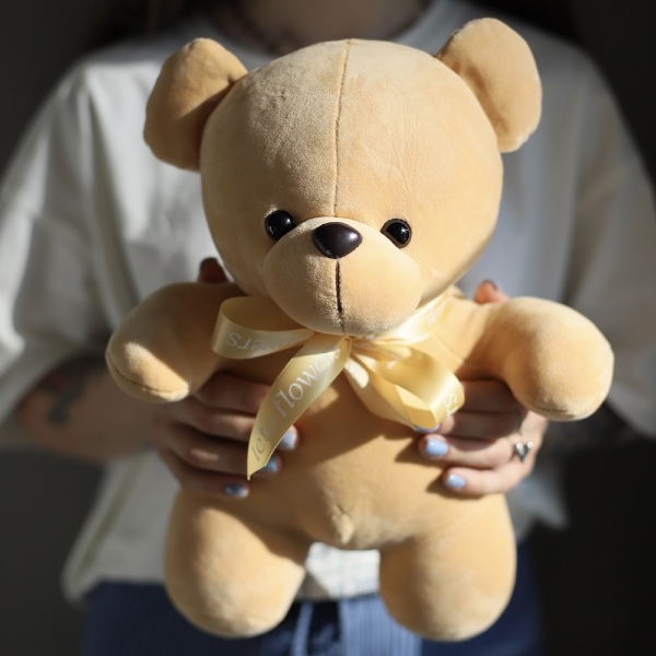 Teddy bear toy