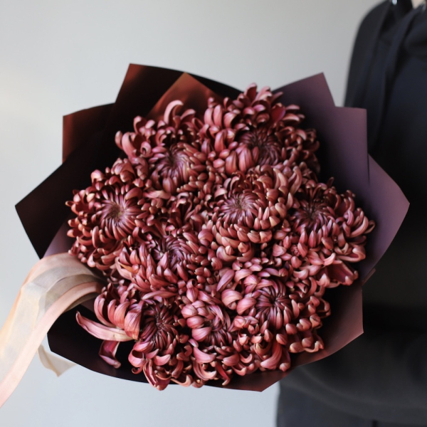 Chocolate Chrysanthemum - 9 хризантем