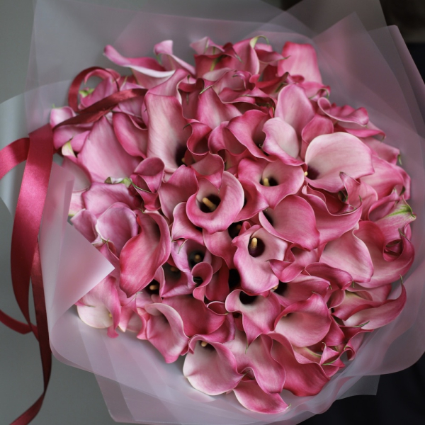 Pink Calla Lily - 101 калла