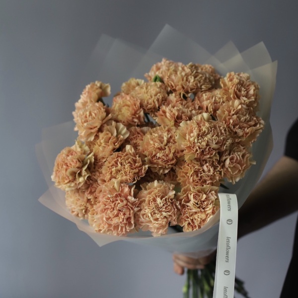 Caramel Carnations - 19 гвоздик 