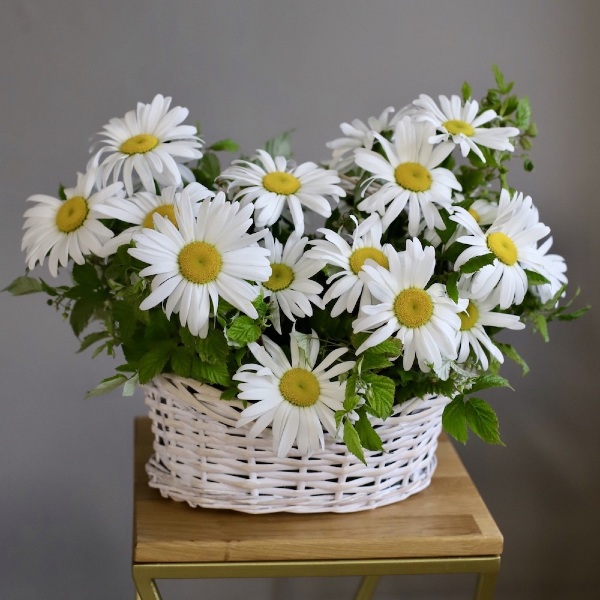 Basket of Chamomile - Размер S