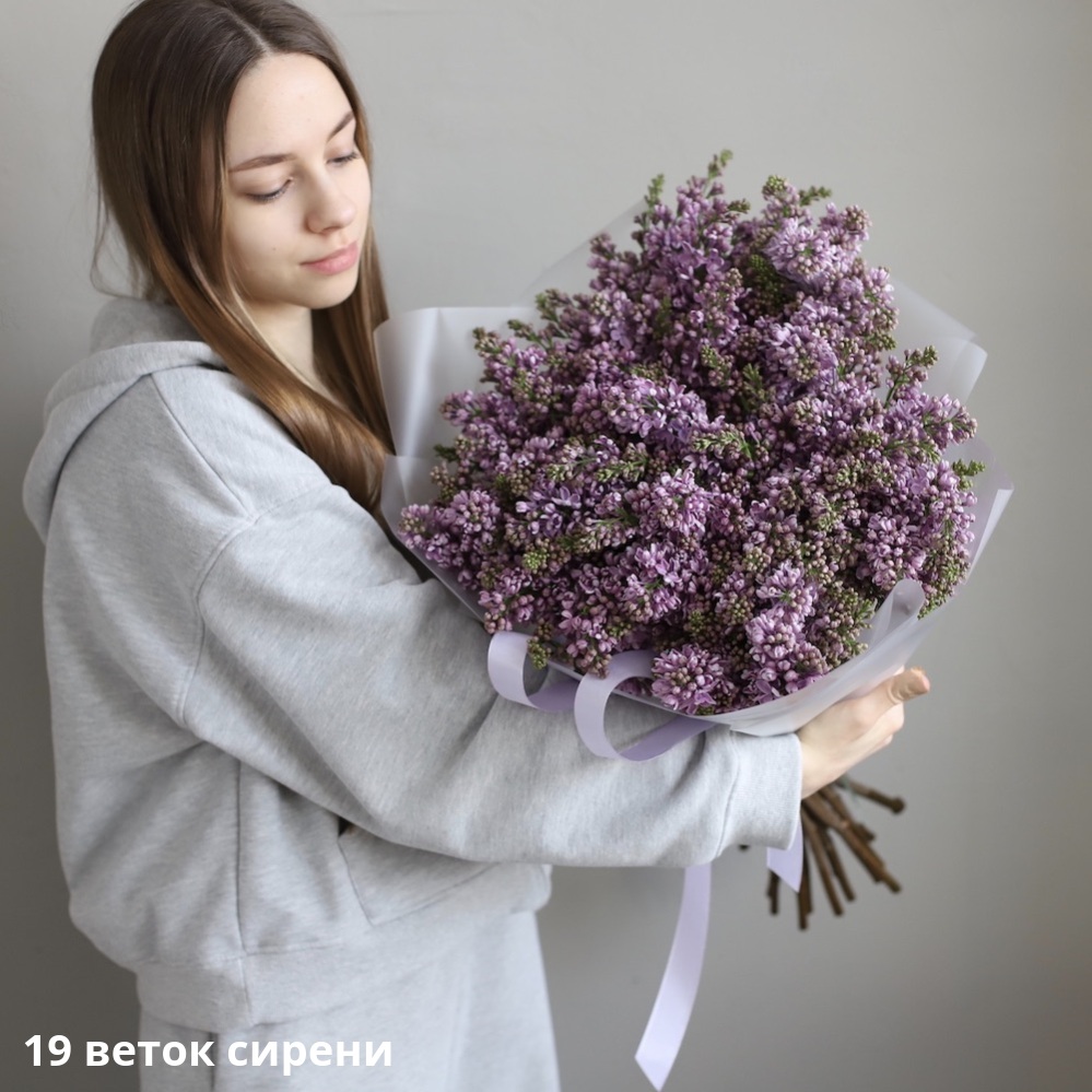 Purple Lilac Purple Lilac -  19 веток сирени