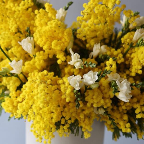 Mimosa with Freesia in a hat box - Размер L