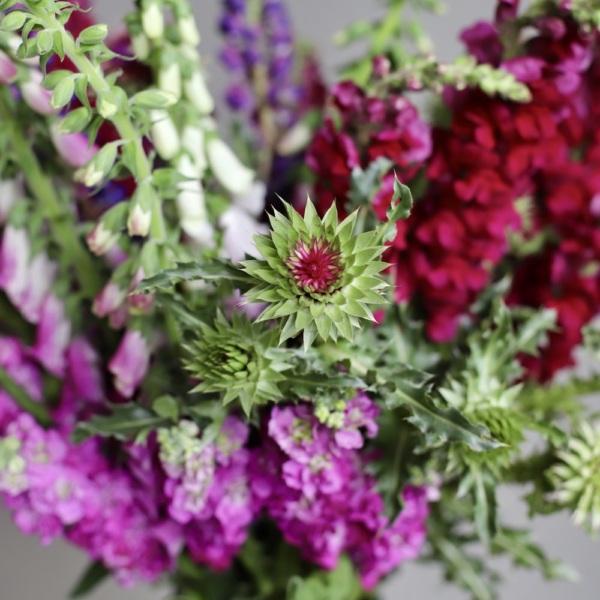 Raspberry bouquet in a vase