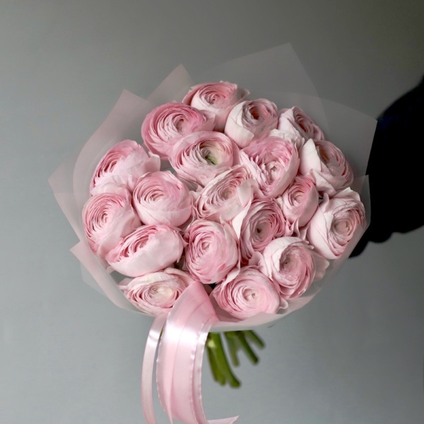 Light-Pink Ranunculus -  25 ранункулюсов 