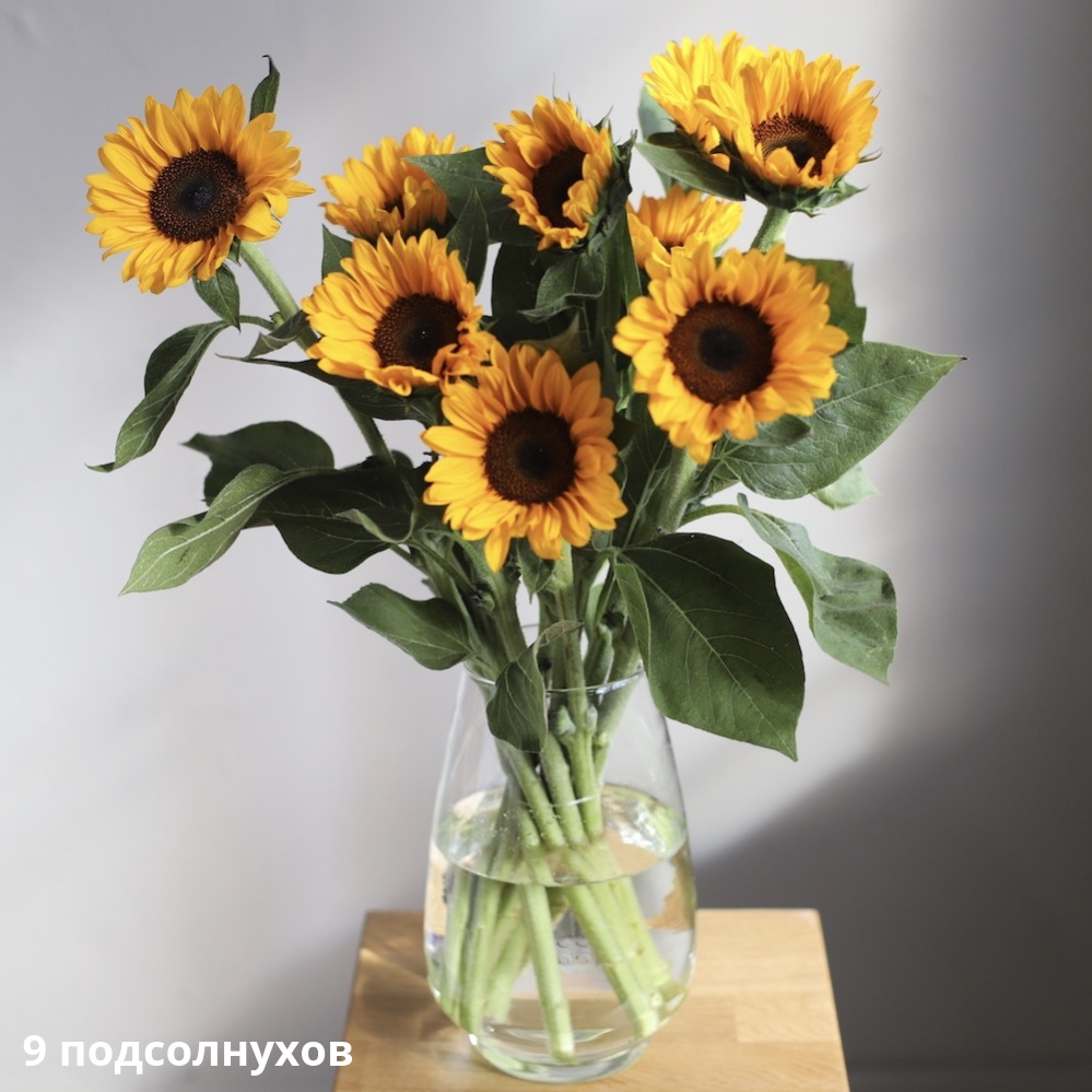 Sunflowers in a vase Sunflowers in a vase -  9 подсолнухов